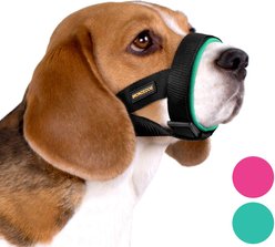 BRONZEDOG Soft Padded Nylon Dog Muzzle, Mint Green, Medium