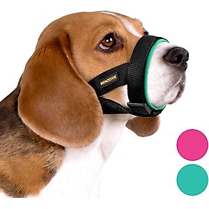 BRONZEDOG Soft Padded Nylon Dog Muzzle, Mint Green, Medium