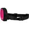Show in main carousel: BRONZEDOG Soft Padded Nylon Dog Muzzle, Pink, Medium slide 3 of 6