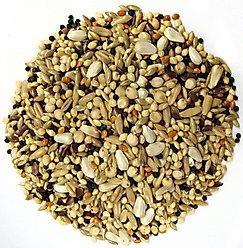 Brown's Bag of Gold Training Seeds & Grains Dove & Pigeon Bird Food 50-lb bag slide 2 of 2