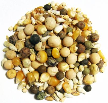 Show full view: Brown's Best of Show Premium Pigeon Food, 50-lb bag slide 2 of 2