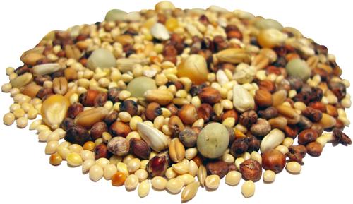 Show full view: Brown's Bird Lover's Blend Dove, Pigeon & Quail Blend Bird Food, 5-lb bag, bundle of 5 slide 5 of 7