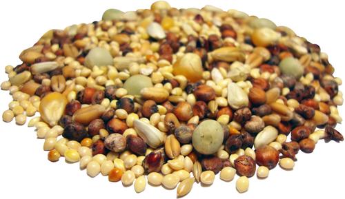 Brown's Bird Lover's Blend Dove, Pigeon & Quail Blend Bird Food