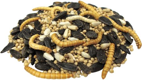 Show full view: Brown's Bird Lover's Blend Hi-Energy Plus with Mealworms Wild Bird Food, 5-lb bag slide 5 of 8