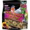 Show in main carousel: Brown's Bird Lover's Blend Nuts, Berries & Bugs! Gourmet Wild Bird Food, 5-lb bag slide 1 of 9