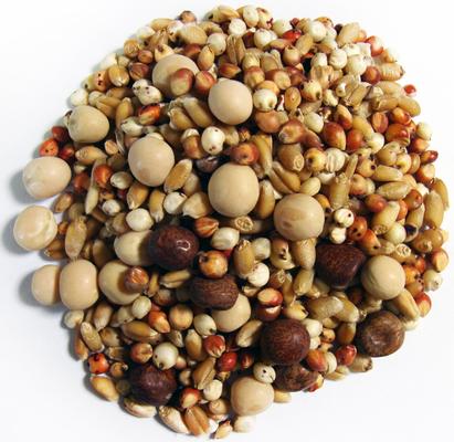 Show full view: Brown's Breeder Kafir Premium Pigeon Food, 50-lb bag slide 2 of 5