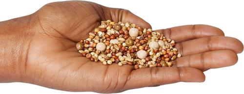 Show full view: Brown's Breeder Kafir Premium Pigeon Food, 50-lb bag slide 3 of 5