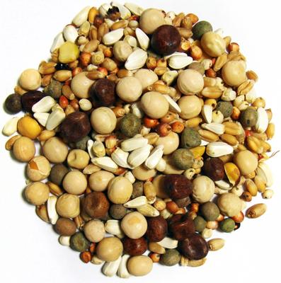 Show full view: Brown's Developer Kafir Seeds & Grains Dove & Pigeon Bird Food, 50-lb bag slide 2 of 2