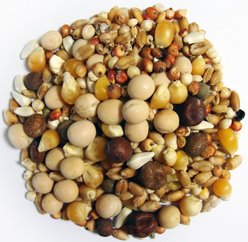Brown's Developer Popcorn Premium Pigeon Food, 50-lb bag slide 2 of 2
