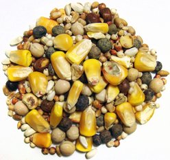 Brown's Developer Small Corn Seeds & Grains Dove & Pigeon Bird Food, 50-lb bag slide 2 of 2