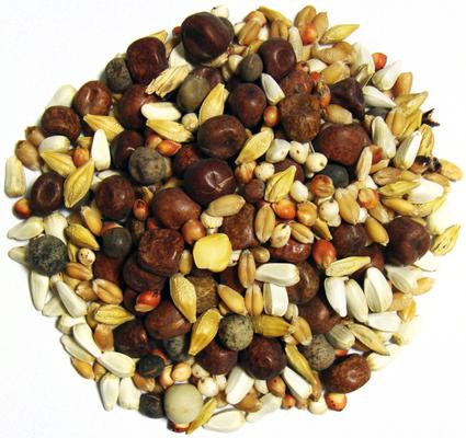 Show full view: Brown's Elite High Protein Corn Free Kafir Seeds & Grains Dove & Pigeon Bird Food, 50-lb bag slide 2 of 2