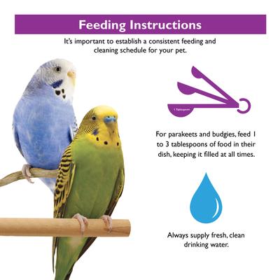 Show full view: Brown's Encore Classic Natural Parakeet Food, 4-lb bag slide 8 of 9