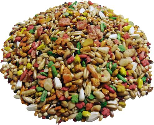 Show full view: Brown's Encore Gourmet Foraging Feast Parakeet Food, 3-lb slide 7 of 8