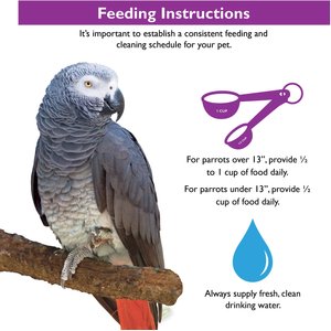Brown's Encore Gourmet Foraging Feast Parrot & Conure Food, 4-lb