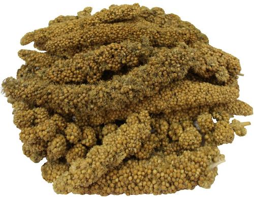 Show full view: Brown's Encore Millet Tips n' Tails Poultry Treat, 8-oz bag slide 2 of 2