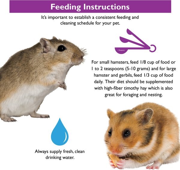 Brown's Encore Premium Gerbil & Hamster Food