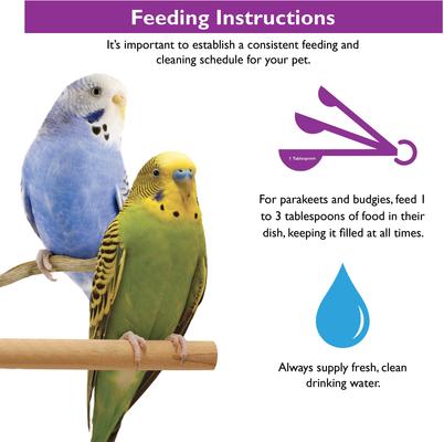 Show full view: Brown's Encore Premium Parakeet Food, 1-lb bag slide 5 of 7