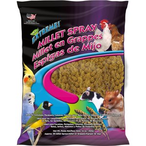 Brown's Extreme! Natural Spray Millet Bird Treat, 16-oz bag