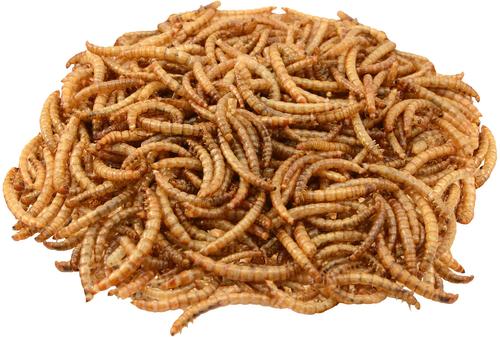 Show full view: Brown's Garden Chic! Dried Mealworms for Wild Birds, 7-oz bag slide 5 of 7