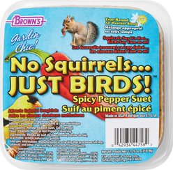 Brown's Garden Chic! No Squirrels... Just Birds! Spicy Pepper Suet Wild Bird Food, 11.25-oz tray