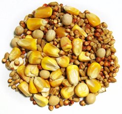 Brown's Park Small Corn Premium Pigeon Food, 50-lb bag slide 2 of 2