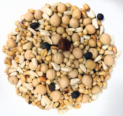 Show full view: Brown's Show Topper Grower Premium Pigeon Food, 50-lb bag slide 2 of 3