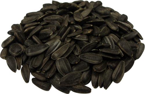 Show full view: Brown's Song Blend Dark Oil Sunflower Seeds Bird Food, 10-lb bag slide 2 of 7