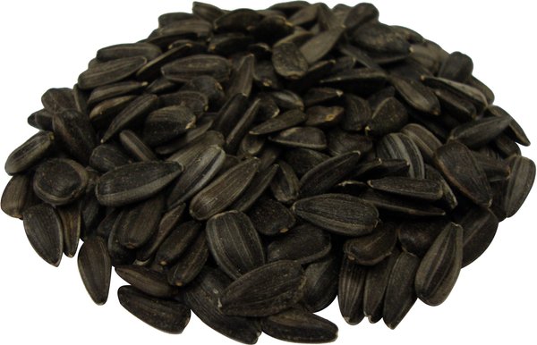 Show full view: Brown's Song Blend Dark Oil Sunflower Seeds Bird Food, 5-lb bag slide 2 of 10