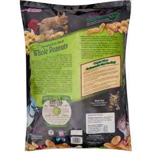 Brown's Song Blend Unsalted-In-Shell Whole Peanuts Wild Bird Food, 10-lb bag