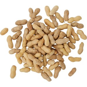 Brown's Song Blend Unsalted-In-Shell Whole Peanuts Wild Bird Food, 10-lb bag