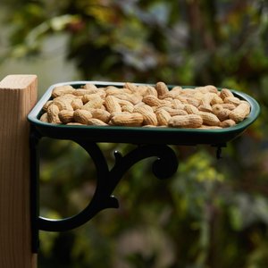 Brown's Song Blend Unsalted-In-Shell Whole Peanuts Wild Bird Food, 10-lb bag