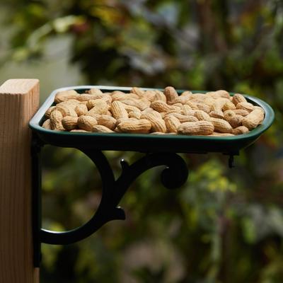 Show full view: Brown's Song Blend Unsalted-In-Shell Whole Peanuts Wild Bird Food, 10-lb bag slide 4 of 6