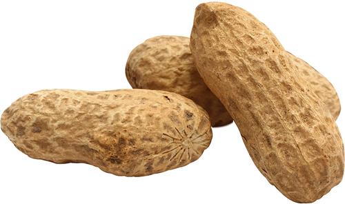 Show full view: Brown's Song Blend Unsalted-In-Shell Whole Peanuts Wild Bird Food, 2-lb bag slide 5 of 7