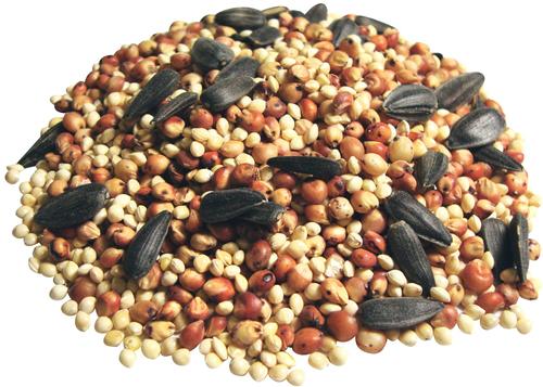 Show full view: Brown's Supreme Buffet Song Blend Wild Bird Food, 20-lb bag slide 5 of 7