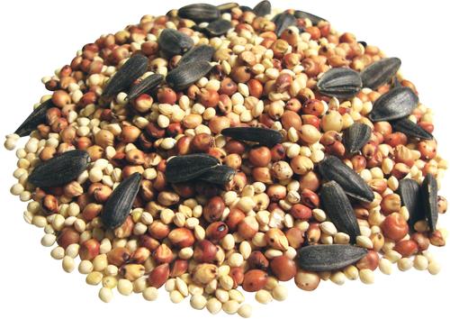 Show full view: Brown's Supreme Buffet Song Blend Wild Bird Food, 5-lb bag slide 3 of 6