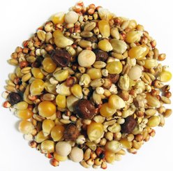 Brown's Thrifty Popcorn Seeds & Grains Dove & Pigeon Bird Food, 50-lb bag slide 2 of 2