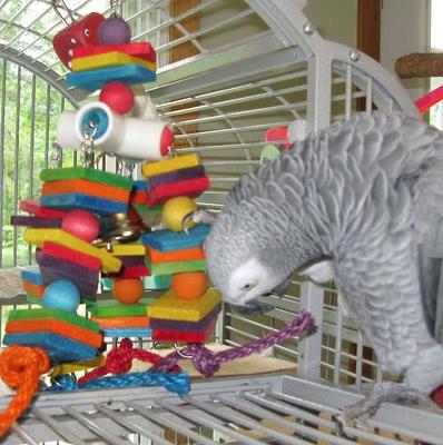Show full view: Brown's Tropical Carnival Big Bites with ZOO-Vital Biscuits Macaw Food + Super Bird Creations 4 Way Play Toy slide 6 of 6