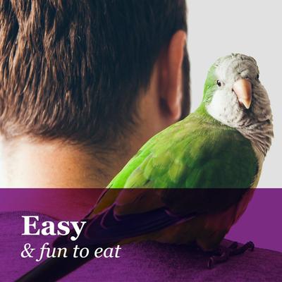 Show full view: Brown's Tropical Carnival Crunchy Crisp Sticks Bird Treats, 0.89-oz bag slide 8 of 10