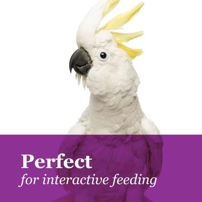 Show full view: Brown's Tropical Carnival Crunchy Crisp Sticks Bird Treats, 0.89-oz bag slide 7 of 10