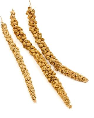 Show full view: Brown's Tropical Carnival Golden Millet Spray Bird Treat, 25-lb box slide 3 of 4