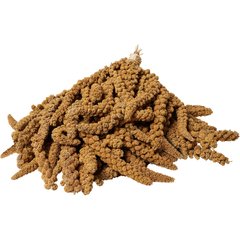 Brown's Tropical Carnival Golden Millet Spray Bird Treat, 5-lb box