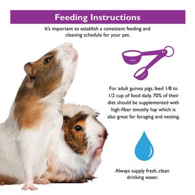 Show full view: Brown's Tropical Carnival Gourmet Guinea Pig Food, 10-lb bag slide 8 of 9