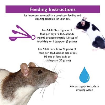 Show full view: Brown's Tropical Carnival Gourmet Mouse & Rat Food, 2-lb bag slide 5 of 7