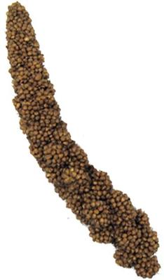 Show full view: Brown's Tropical Carnival Mini Spray Millet Bird Food, 4-oz bag slide 4 of 5