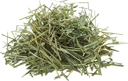 Show full view: Brown's Tropical Carnival Natural Behaviors Timothy Hay Small Animal Food, 240-oz bag slide 4 of 4