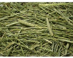 Brown's Tropical Carnival Natural Timothy Hay Small Animal Food, 96-oz bag slide 2 of 3