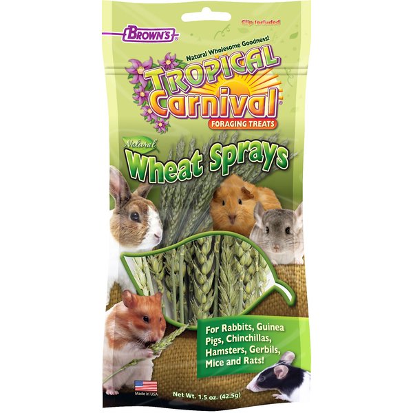 Atlantic Rush Freeze-Dried Minnow Small Animal Treats, 0.5-oz bag