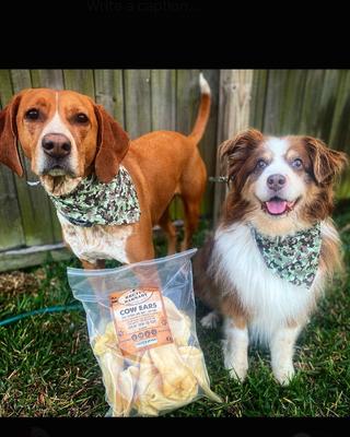 Show full view: Brutus & Barnaby Premium Whole Cow Ears Puppy Natural Dog Chew - 15 count slide 8 of 10