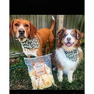 Brutus & Barnaby Premium Whole Cow Ears Puppy Natural Dog Chew - 25 count