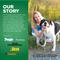 Show in main carousel: Brutus Broth Bone Broth Pork & Apple Biscuits Natural Limited Ingredient Crunchy Dog Treats, 8-oz bag​ slide 9 of 12